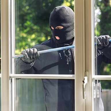 Contractors Equipment Theft And Vandalism Protection