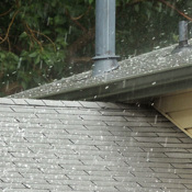 Claim Stories | Wrong Policy Issued for Hail Loss | US Assure